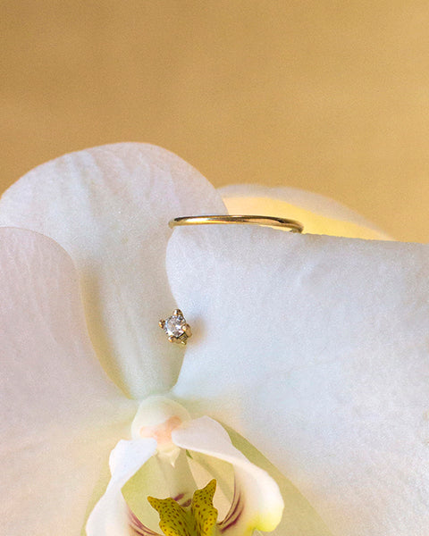 Charlotte Orbit Diamond de oro 18kt sobre orquidea